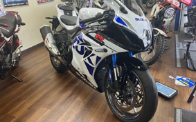 SUZUKI GSX-R1000R ABS 2020 DM11G