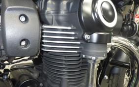 KAWASAKI W800 CAFE 2020 EJ800B