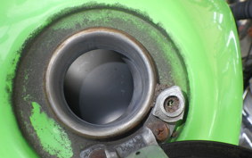 KAWASAKI SUPER SHERPA 2020 KL250G