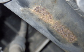 HONDA DIO Gen.6 AF62