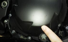 KAWASAKI NINJA 1000SX 2024 ZXT02K