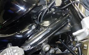 KAWASAKI ELIMINATOR 250 Trike V