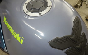 KAWASAKI NINJA 250R 2023 EX250K