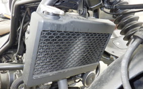 HONDA REBEL 250 S MC49
