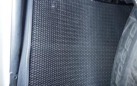 MV AGUSTA BRUTALE 800 DS RR 2017