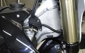 TRIUMPH TF250-X