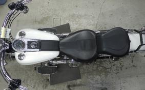 OTHER +HD. FLSTC1450 2000