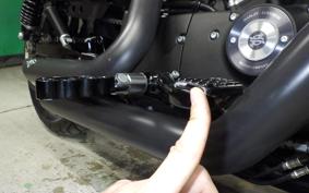 HARLEY XL883N 2021