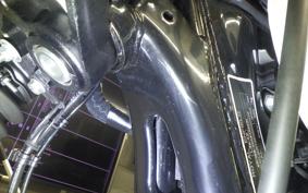 OTHER +ENFIELD HUNTER350 2025