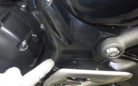 TRIUMPH SPEED 400 2024