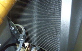 SUZUKI GSX-S1000GX 2024 EK1AA