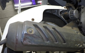 SUZUKI MOLLET