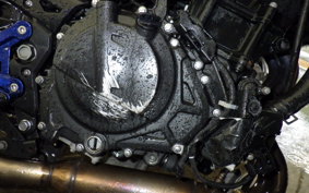 KAWASAKI Z250 Gen.2 2001 EX250P