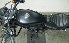 HARLEY XL883N 2016