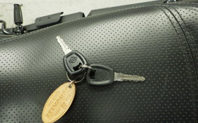 HARLEY XG750 STREET ROD 2021