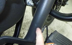 OTHER +ENFIELD ﾒﾃｵ350 2025