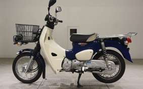 HONDA C110 SUPER CUB 2015 JA42