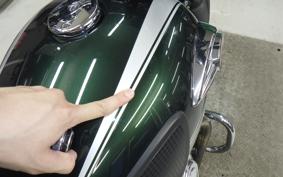 KAWASAKI W800 2020 EJ800B