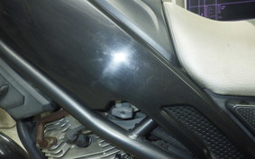 YAMAHA TRICKER DG10J