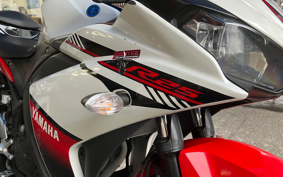 YAMAHA YZF-R25 RG10J