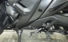 BMW R1300GS 2024