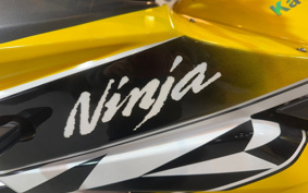 KAWASAKI NINJA 250R EX250K