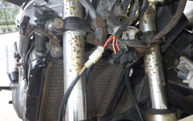 KAWASAKI ZZ-R250 EX250H