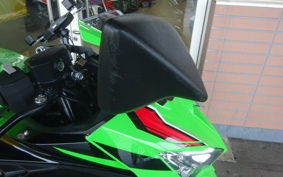 KAWASAKI NINJA ZX-4RR 2023 ZX400P