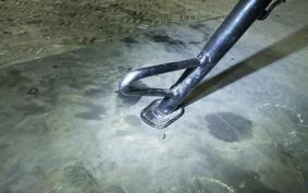 HONDA CBR600RR 2025 PC40