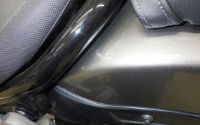 HONDA REBEL 1100 DCT 2024 SC83