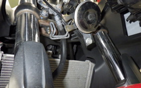 YAMAHA YZF-R25 1996 RG10J
