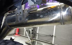 KAWASAKI SUPER SHERPA KL250G