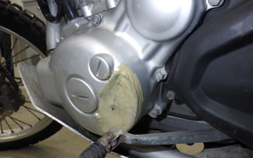 YAMAHA WR250R 2024 DG15J