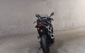 KAWASAKI NINJA 250 EX250L