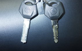 YAMAHA MT-25 A RG74J