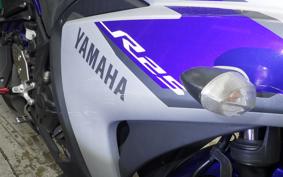 YAMAHA YZF-R25 2009 RG10J