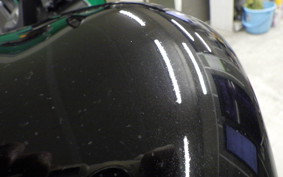 KAWASAKI NINJA 1000 SX 2025 ZXT02K