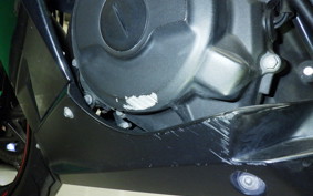 KAWASAKI NINJA 250 EX250P