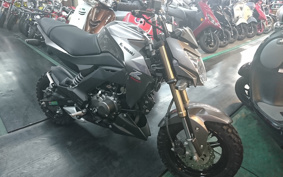 KAWASAKI Z125 PRO BR125H