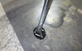 TRIUMPH TRIDENT 660 2021