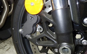 TRIUMPH DAYTONA660 2026