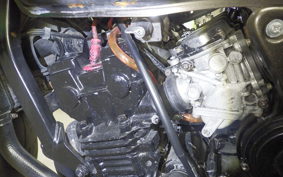 HONDA HORNET 250 MC31