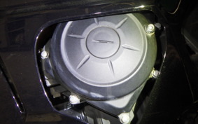 YAMAHA YZF-R25 2014 RG43J