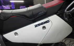 SUZUKI DJEBEL 250 XC SJ45A
