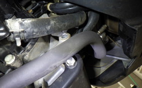 HONDA CREA SCOOPY 2024 AF55