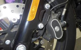 HARLEY XL883N 2019
