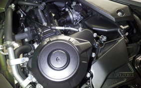 SUZUKI Vｽﾄﾛｰﾑ250A 2010