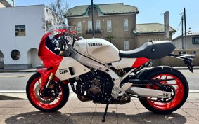 YAMAHA XSR900 GP 2024 RN96J