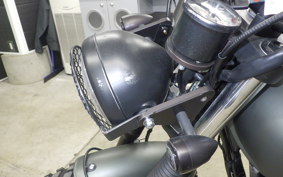 OTHER UNREGISTERED MODEL by BDS250 2021