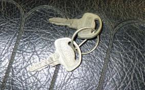 SUZUKI RV50 2024 RV50